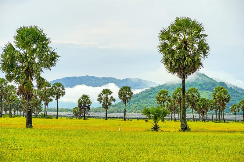 Cho thuê xe du lịch tại An Giang